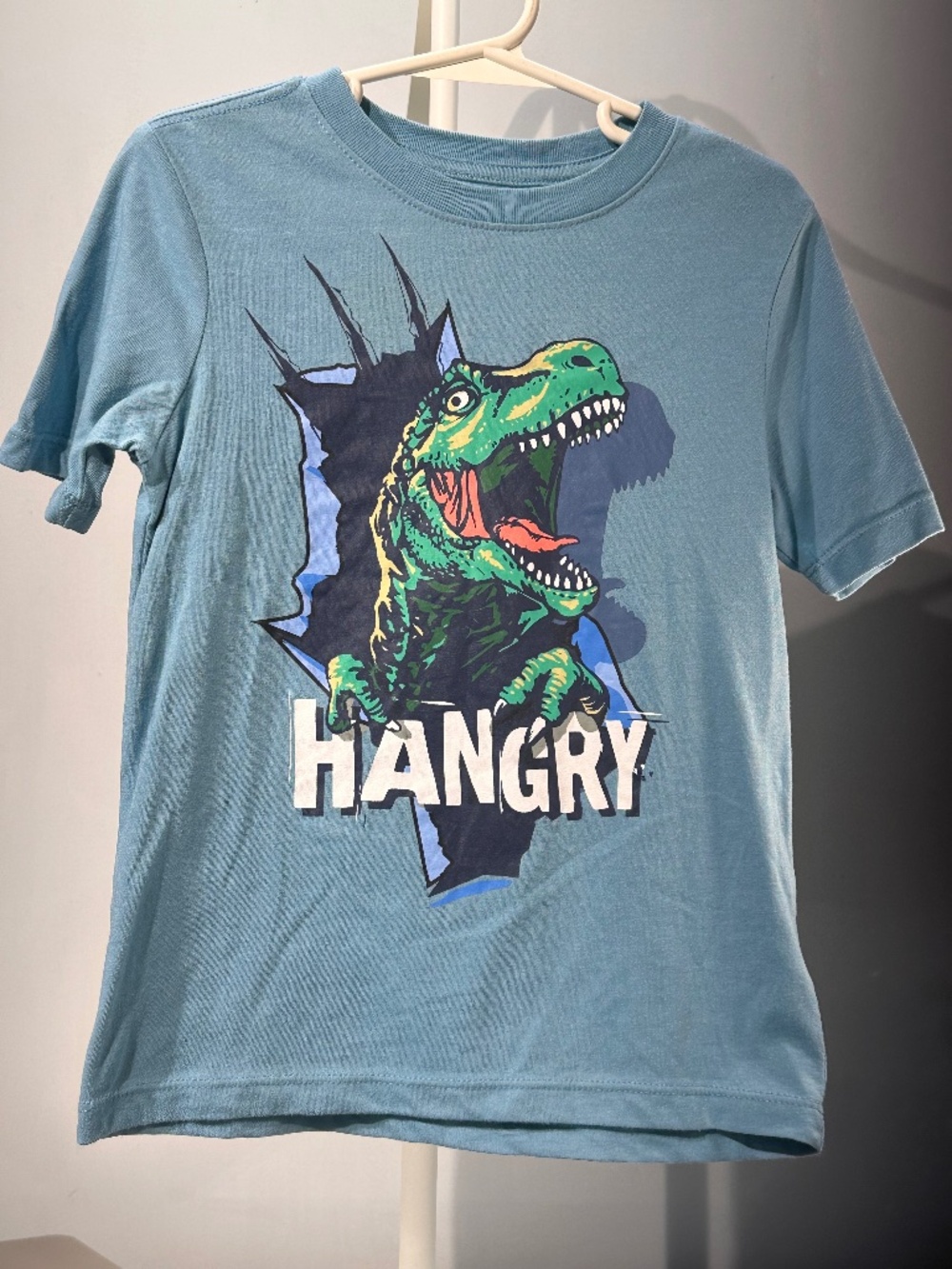 Wonder Nation Boys Dinosaur T-shirt, sz XS 4-5 (A70)